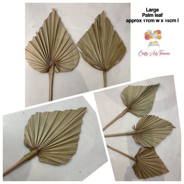 Natural Sun Dried Palm Leaves Cake Topper - Small or Large Oh So Crafty